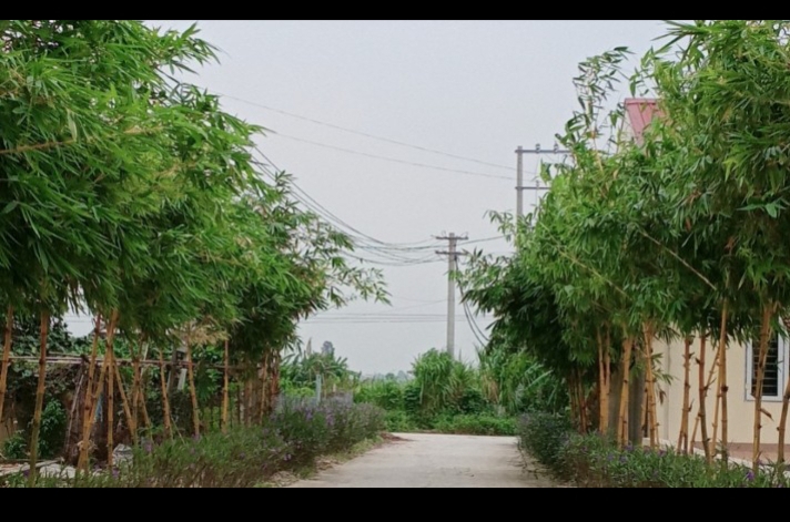 Nhân dân xã Thuần Lộc đồng lòng xây dựng nông thôn mới